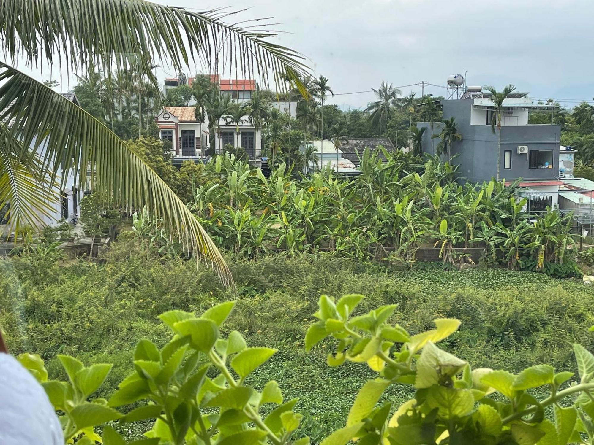 Hoi An Ti Hon House Villa Bagian luar foto